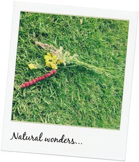 natural wonders