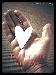 feed your world